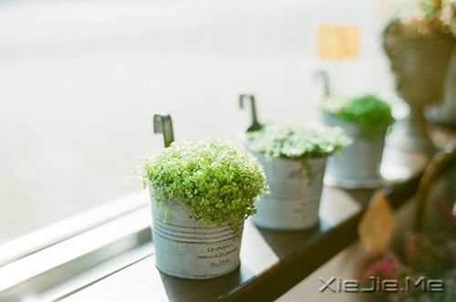 ��������㲻�¸ң�û�������ǿ (2)