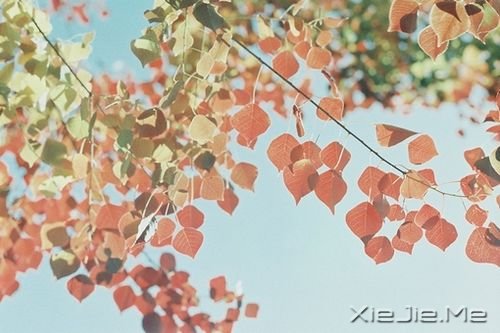 早安心语:看清自己比读懂他人,更重要 (1)