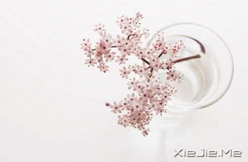 早安心语:你生活在别人的眼神里,就迷失在自己的心路上 (2)