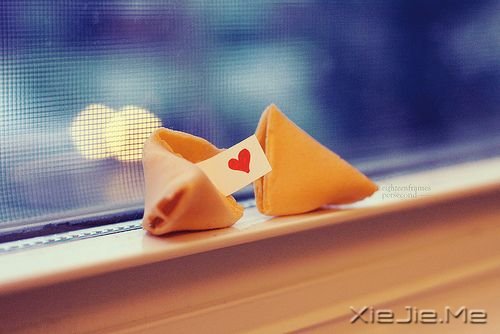 ��������۶��Ǳ��˸��ģ����˶����Լ��õ� (9)