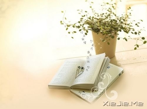 ����������ֵ��˲���û��ʹ�࣬���ǲ��ᱻʹ�������� (3)