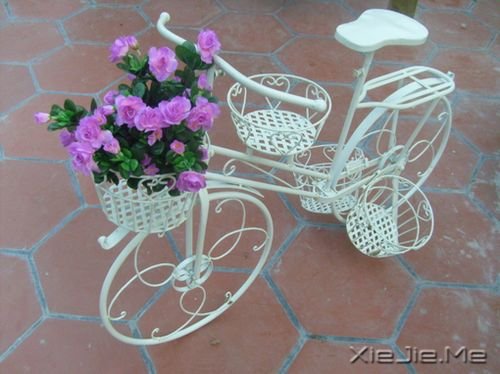 早安心语:总有许多事,需要一个人扛 (10)