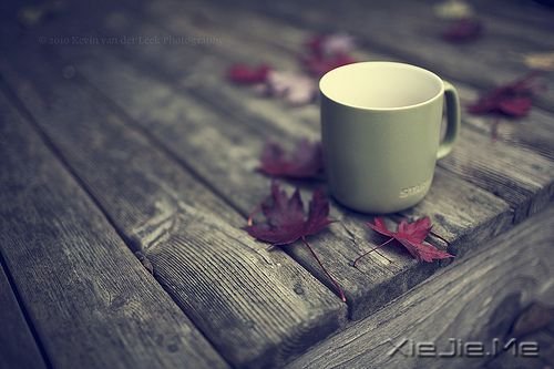 �簲�������������񣬲�����Ϊ���˶��������� (9)