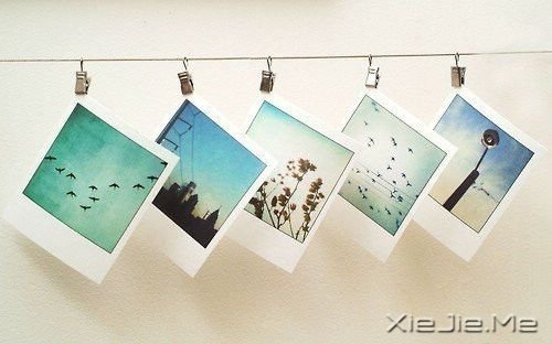 遇见了,就好好珍惜 (10) 小清新图片 (10)