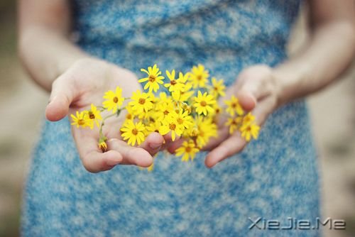 С����ͼƬ (1)