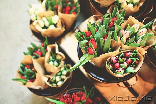 �����������һ����Ϊ������� (4)