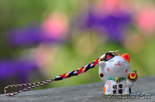 Ӣ������Ұ��㣬��������һ������ (3)