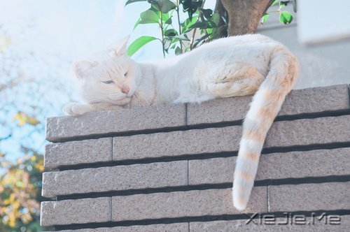 经典语录:一个人的天荒地老 (8)