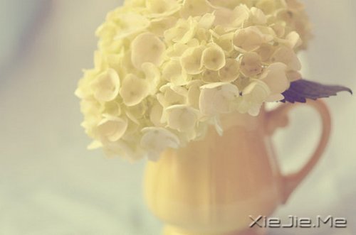 读懂人生,富有哲理的座右铭 (3)