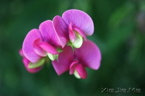 写人仅两笔,做人需一生 (7)