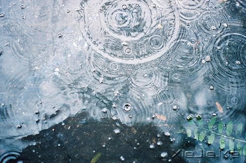 14首关于雨的纯音乐推荐 (9)