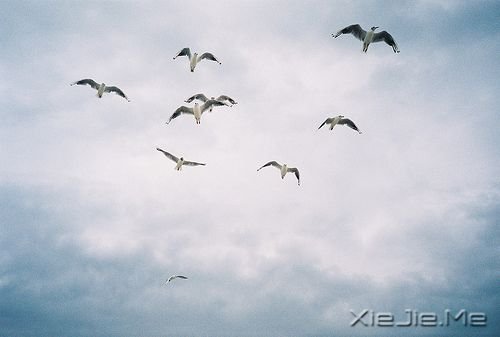 生命中那些你不知道的大事