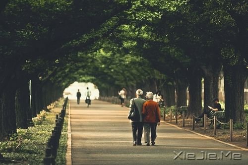 我最希望你陪陪我