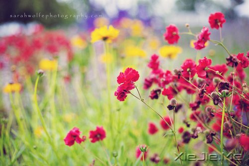 世界十大顶尖家族的家训