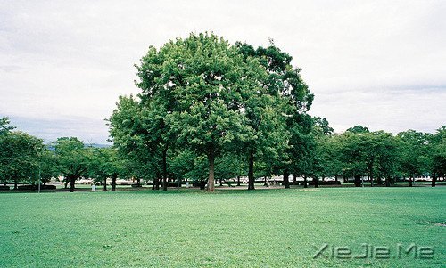 成功人士的22条好习惯