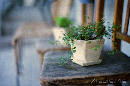 文字:做个有意思的人