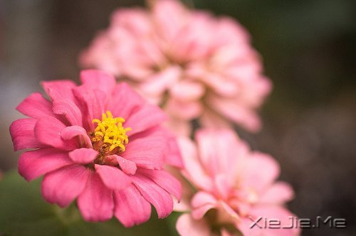 文字:5个释放压力的简单方法