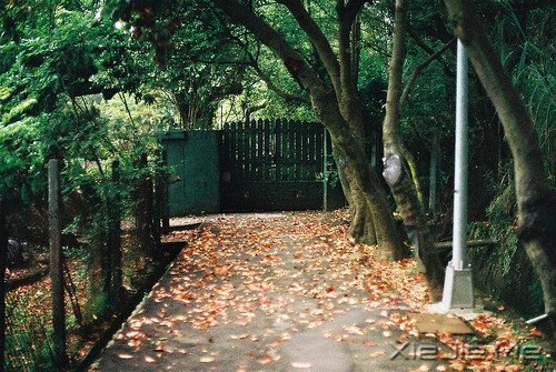 如果相遇在这条小路 (2)