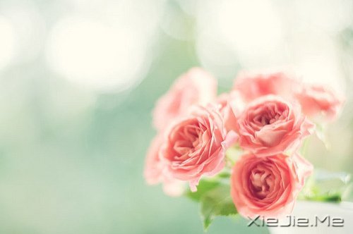 ���֣�30���ı������С����