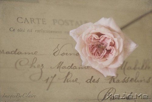 �����д������������ȥ�������ô�������й���Թ