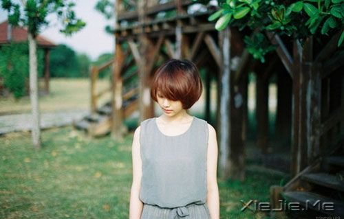 半个人,不需要两个人的阳光 (2)