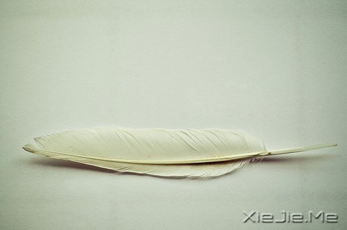 我和这个世界不熟 (6)