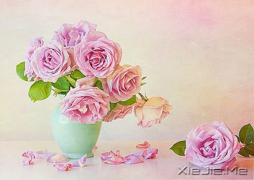 成就一生的50个好心态 (4)