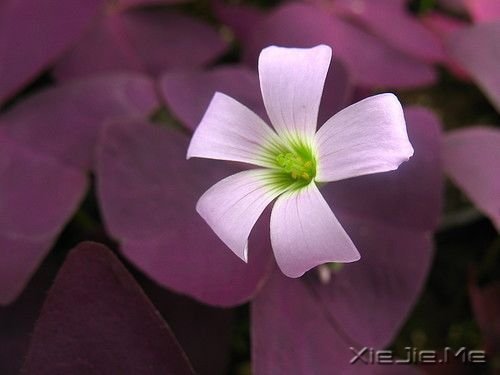 关于幸福的20个瞬间 (4)