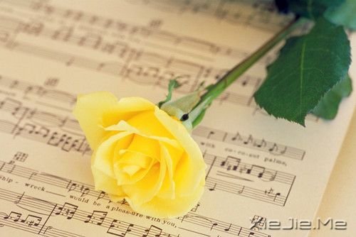 30句做人之道处事之理 (5)