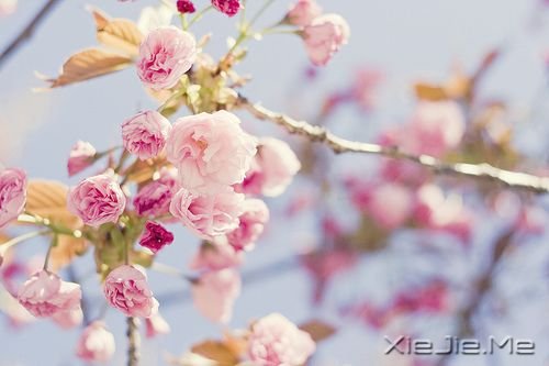 关于幸福的20个瞬间 (3)