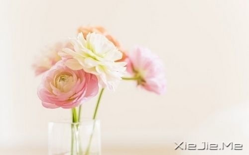 母亲依旧是那副“坏脾气” 母亲依旧是那副“坏脾气”