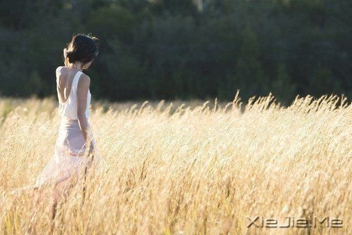 记住文字,但别记住悲伤 (5)